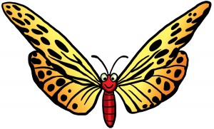 Butterfly 1 c